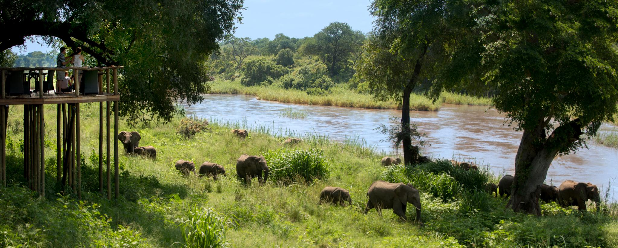 Lion Sands Narina Lodge Sabi Sand Game Reserve Dış mekan fotoğraf