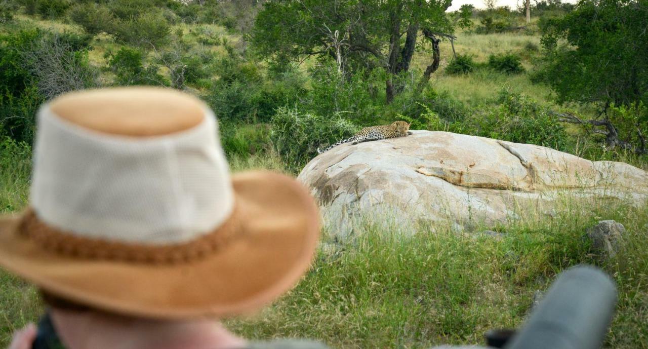 Lion Sands Narina Lodge Sabi Sand Game Reserve Dış mekan fotoğraf