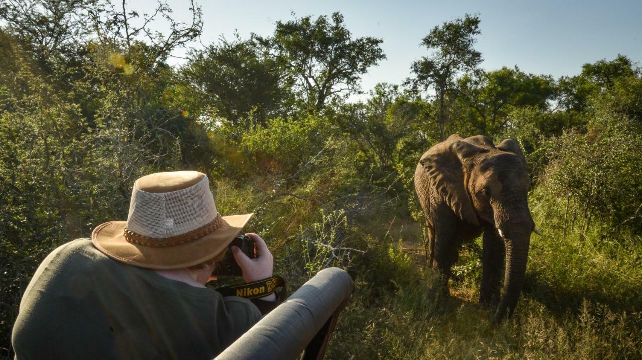 Lion Sands Narina Lodge Sabi Sand Game Reserve Dış mekan fotoğraf
